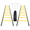 1/2/4 Pack Agility Ladder Set, 8 Rungs/12 Rungs Agility Ladder Set, Speed Training Ladder with Steel Stakes and Carry Bag for Soccer, Speed Fitness Feet Training(2 Pack, 12 Rungs)