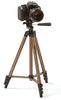 Amazon Basics 50-inch Lightweight Camera Mount Tripod Stand With Bag