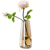 FANTESTICRYAN Modern Glass Vase Irised Crystal Clear Glass Vase for Home Office Decor