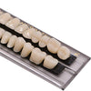 56 Pcs Dental Acrylic Resin Denture Tooth Kit False Tooth 23 A2 for Halloween Horror Teeth(2Sets)