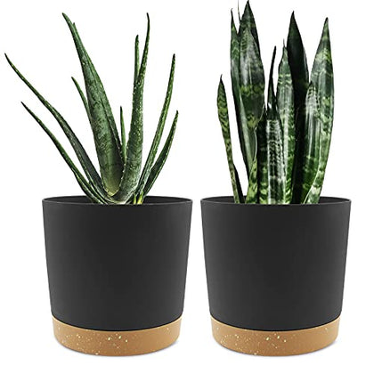 QCQHDU Plant Pots Set of 2 Pack 8 inch,Planters for Indoor Plants with Drainage Holes and Removable Base,Saucer Modern Decorative for Outdoor Garden Planters(Dark Grey 8in)