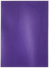 Dragon Shield 11009 Matte Purple Standard Sleeves (100 Sleeves)