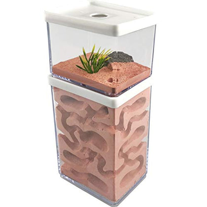 MOCOHANA Ant Farm Box Ant Home for Kids Study of Ant Behavior Ant Nest Farm Educational Formicarium for Ant