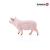 Schleich Farm World Pig Educational Figurine for Kids Ages 3-8