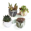 SE SUN-E Sun-E Modern Style Marbling Ceramic Flower Pot Succulent/Cactus Planter Pots Container Bonsai Planters with Hole 3.35 Inch Gift Idea(4 in Set) Plants Not Included