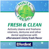 Efferdent Plus Mint Denture Cleanser Tablets 90 ea by Efferdent