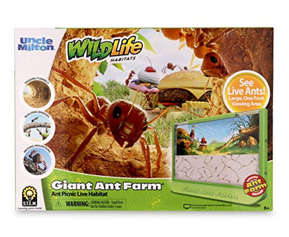 Uncle Milton Giant Ant Farm - Large Viewing Area - Care for Live Ants - Nature Learning Toy - Science DIY Toy Kit - Great Gift for Boys & Girls, Green