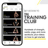 TRX PRO3 Suspension Trainer System, Design & Durability for Cross-Training, Weight Training, HIIT Training & Cardio, Includes 3 Anchor Solutions for Indoor & Outdoor Home Gyms