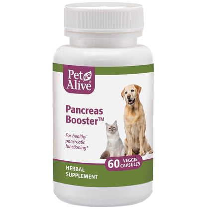 PetAlive Pancreas Booster - All Natural Herbal Supplement for Pancreatic Health and Digestive Functioning in Cats and Dogs - Supports Healthy Insulin Production - 60 Veggie Caps