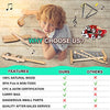 LOOIKOOS Toddler Musical Instruments International Natural Wooden Music Set for Toddlers and Kids-Eco Friendly Preschool Educational Musical Toys with Storage Bag