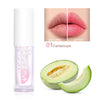 6Pcs Hydrating Lip Oil Set,Fruity Color Changing Lip Glaze Plumping Lip Glow Oil Transparent Moisturizing Tinted Lip Balm Long Lasting Nourishing Repairing for Dry Lip (A)