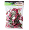 Pangea Hanging Plants Deluxe Decor for Reptile Enclosure Habitat (Red)