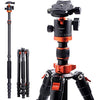 K&F Concept 68 inch /175cm Camera Tripods,Compact Travel Tripod with Monopod,10kg/22lbs Load Capacity 360° Panorama Ball Head Compatible with DSLR Cameras K255A4+BH-28L (TM2515M1)