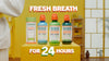 TheraBreath Fresh Breath Mouthwash, Rainforest Mint, Alcohol-Free, 16 Fl Oz (2-Pack)