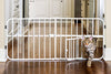 Carlson Lil Tuffy Metal Expandable Gate White, 38 x 1 x 18