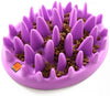 The Company of Animals CATCH Interactive Feeder, Purple