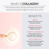 Alaya Multi Collagen Powder - Type I, II, III, V, X Hydrolyzed Collagen Peptides Protein Powder Supplement with MSM + GC (Unflavored) (40 Servings)