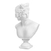 Norrclp 12.6in Greek Statue of Apollo, Classic Roman Bust Greek Mythology Sculpture for Home Decor