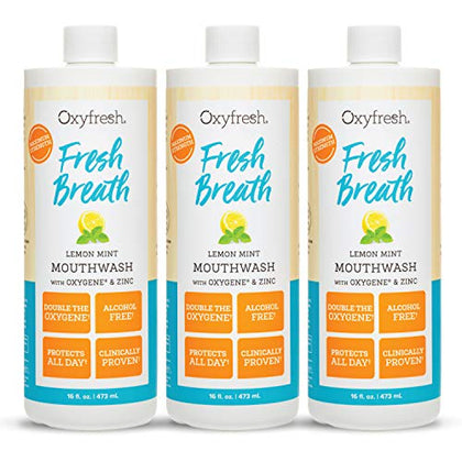 Premium Oxyfresh Lemon Mint Fresh Breath Mouthwash - Oral Rinse for Bad Breath - SLS & Fluoride Free Mouthwash - Alcohol Free, Gentle Non Burning Mouthwash with Xylitol & Essential Oils, 3 Pack16 oz