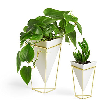 Umbra - 1004372-524 Trigg Desktop Planter Vase & Geometric Container-for Succulent, Air, Mini Cactus, Faux Plants and More, Desk, White/Brass