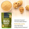 Viva Naturals Organic Maca Powder - Gelatinized Maca Powder Organic, Pervuian Superfood Traditionally Used for Energy, Certified Organic, Gluten-Free & Non-GMO, 1 lb Bag