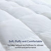 Maple&Stone Feather Down Comforter Queen Size All Season White Down Duvet Insert Ultra Soft 100% Cotton Cover Fluffy Queen Comforter 90 x 90 Inches