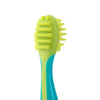 Nuby 4-Stage Oral Care Set with 1 Silicone Finger Massager, 2 Massaging Brushes, 1 Nylon Bristle Toddler Tooth Brush, Green/Aqua