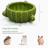 Zhilishu Hamster Food Bowl, 2 Packs Cactus Food & Water Bowls Ceramic Feeding Drinking Bowl Food Dish for Small Animals Gerbil Dwarf Hamster Rat Mice Guinea Pig(Green+Dark Green)