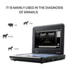 CONTEC USA Veterinary Laptop Machine Ultrasound Scanner Newest Horse/Equine/Cow/Sheep use (Convex & Rectal Linear Probe)