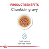 Royal Canin Size Health Nutrition Small Puppy Chunks in Gravy Wet Dog Food, 3 oz pouch (12-count)