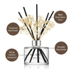 COCODOR Preserved Flower Reed Diffuser/White Jasmine/6.7oz(200ml)/1 Pack/Home & Office Decor Aromatherapy Diffuser Oil Gift Set