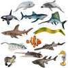 Toymany 14-Piece Realistic Sea Animal Figurines Set: 2-6