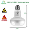 REPTI HOME Reptile Heat Lamp Bulb,100W 3 Pack Basking Spot Lamp Bulb for Reptiles & Amphibians,Reptile Daylight Heat Emitter Light for Bearded Dragon, Lizard, Turtle