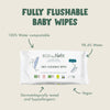 Eco by Naty Flushable Baby Wipes - Compostable and Plant-Based Wipes, Chemical-Free and Hypoallergenic Baby Wipes Safe for Baby Sensitive Skin, 42 Wipes Per Pack (12 Pk)