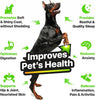 Charlie&Buddy H?mp Oil for Dogs - Omega 3,6,9 for Skin, Coat, Anxi?ty Relief and J?int P?in