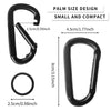 Carabiner Caribeener Clips, 3