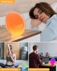 Dekala Sunrise Alarm Clock Sound Machine, Smart Wake-up Light, Ambient Light & Sleep Assistant White Noise Sound Machine Baby Night Light, App/Voice Control, Work with Alexa and Google, Ideal for Gift