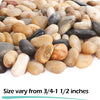 GASPRO 5lb River Rocks for Plants, Garden Landscaping Stones, Decorative Pebbles for Home Decor, Aquarium, Crafting, Animal Habitat