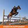 MagnaGard Plus Gastric Support Supplement for Horses with Omega 3s | Relieves Ulcers, Calming Supplement, Magnesium & Other Vital Minerals | Powder, 6 Pound Bag, 45-Day Supply | by Eagle Equine