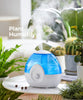 raydrop Cool Mist 2.2L Humidifiers for Bedroom, 28dB Whisper-Quiet Ultrasonic Humidifier, Easy to Clean Home Humidifier, Auto Shut-Off, 30H Work Time, Night Light (Blue)