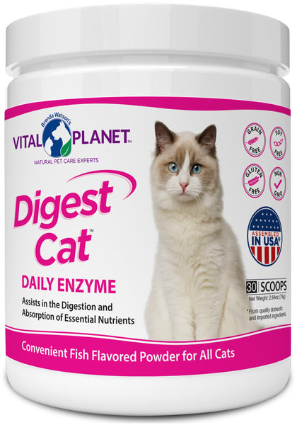 Vital Planet - Digest Cat Digestive Pancreatic Enzyme Blend with Pumpkin and Ginger to Support the Pancreas and Healthy Digestion with Pancreatin, Salmon Flavored Powder for Cats - 111 Grams 30 Scoops