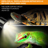 GeeKoit Premium 5.0 UVB Reptile Light,UVA UVB 3W Full Spectrum Tropical,UVB Bulb for Optimal Calcium Metabolism,Ideal for Tropical-Dwelling Reptiles Turtle Green Anole