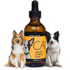 Hemp Dog Health - Calm - Hemp Oil for Dogs - for Dog Anxiety Relief - Balanced Mood & Behavior Dog Hemp Oil - Nervousness & Separation Anxiety Relief for Dogs - 100% Natural Dog Calming Drops