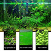 2 Pack Aquarium Small Leaf Grass