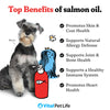 Salmon Oil for Dogs & Cats - Healthy Skin & Coat, Fish Oil, Omega 3 EPA DHA, Liquid Food Supplement for Pets, All Natural, Supports Joint & Bone Health, Natural Allergy & Inflammation Defense, 32 oz