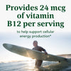 MegaFood B12 Energy Gummies -Vitamin B12 - Supports Energy Metabolism - B12 Gummies for Adults - Methylcobalamin B12 - Non-GMO, Vegan, Certified Organic - Real Ginger - 70 Gummies (35 Servings)