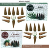 Incense Cones - Combo Pack of 20 Cone Incense - 10 Cedar + 10 Pine - Insence Cones - Incense Cones Scented - Cone Incense Scents - Insense Cones - Incent Cone