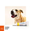 Zoetis Animal Health Terramycin Antibiotic Ophthalmic Ointment 1/8 oz