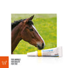 Zoetis Animal Health Terramycin Antibiotic Ophthalmic Ointment 1/8 oz