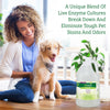 Biokleen Bac-Out Pet Stain Remover - 1 Gallon - Enzymatic, Natural, Destroys Stains & Odors Safely, for Pet Stains on Carpets - Eco-Friendly, Plant-Based